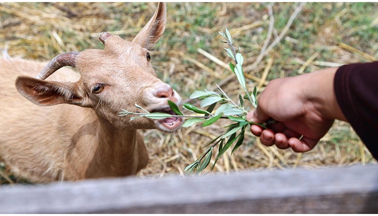 The Margi Hotel, Афины